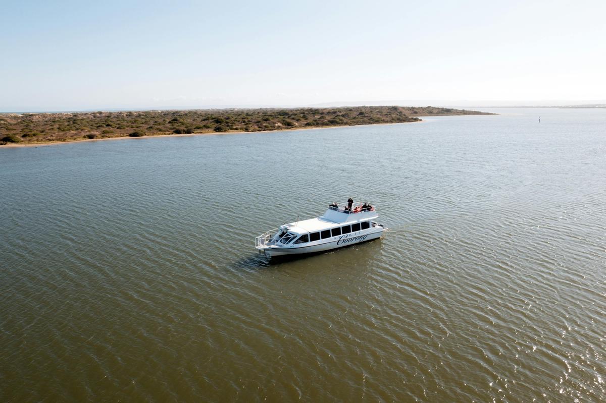 Coorong, River & Lakes Experience