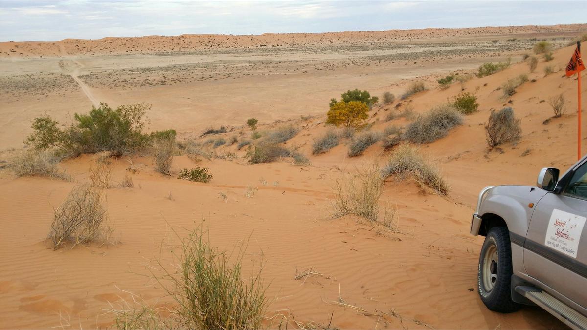 Big Red on Simpson Desert tour with Spirt Safaris Outback & Wilderness Tours