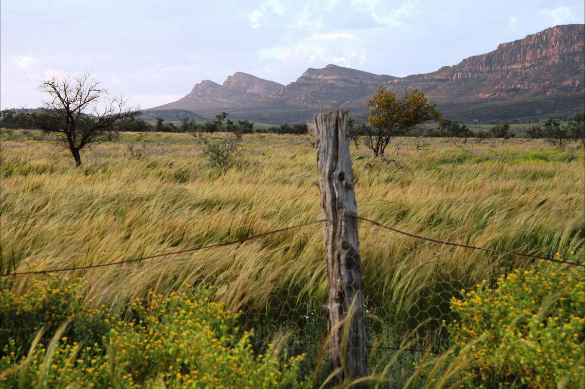 Wilpena Pound Flinders Ranges tour with Spirt Safaris Outback & Wilderness Tours