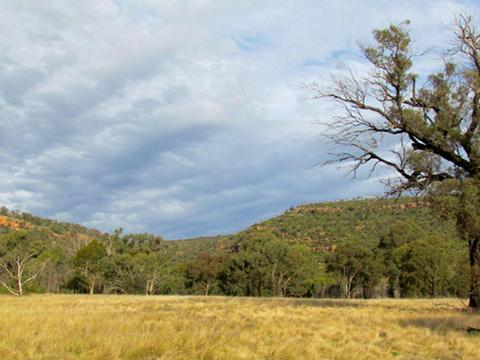 Weddin Mountains National Park