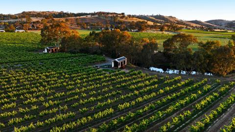 Seabrook Vineyard Retreat