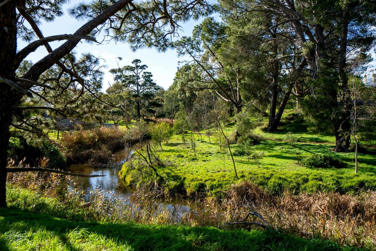 The Angas River Strathalbyn flows alongside the Angas River walk