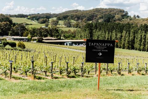 Terroir Collection Tasting