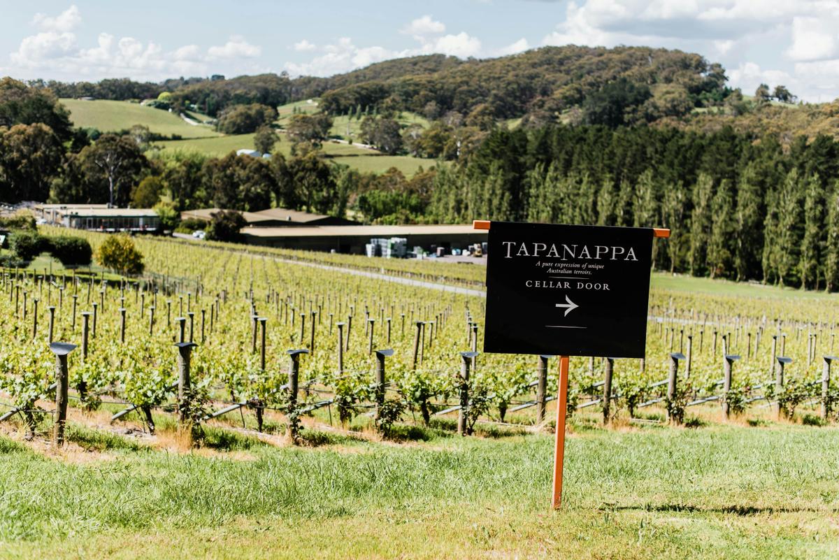 Tiers Vineyard