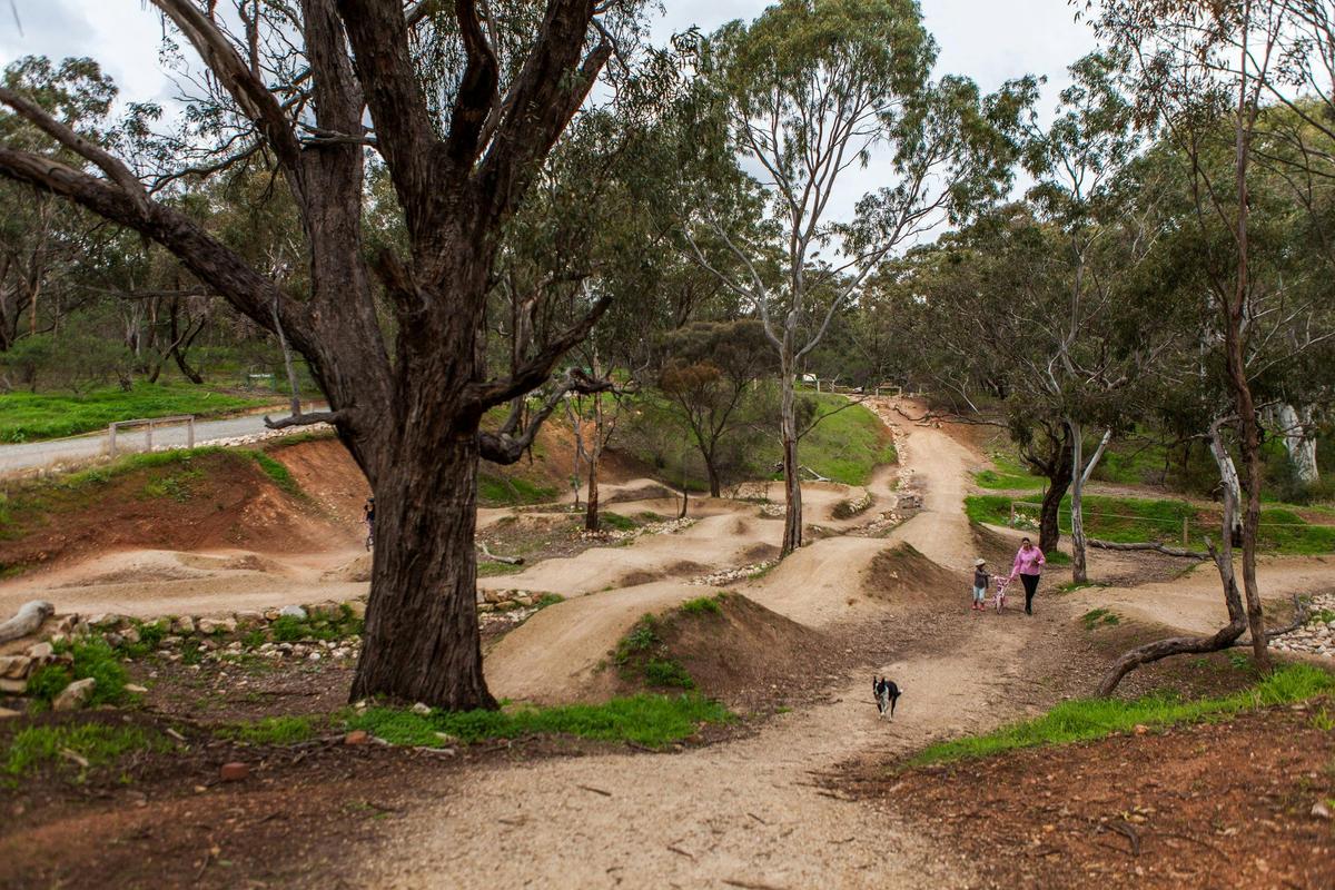 shepherds hill