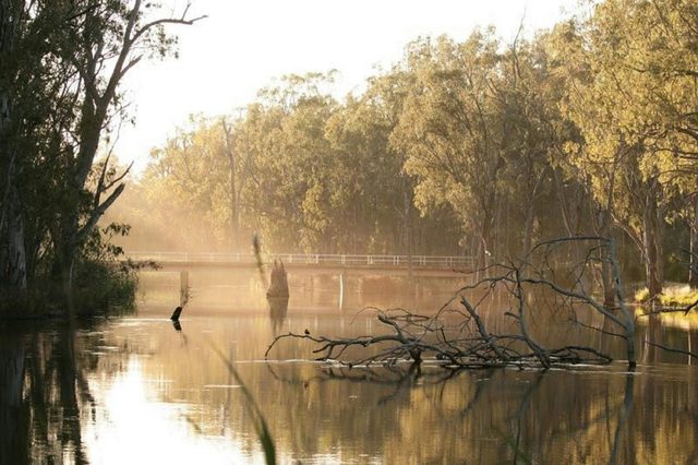 The Timber Cutters Run