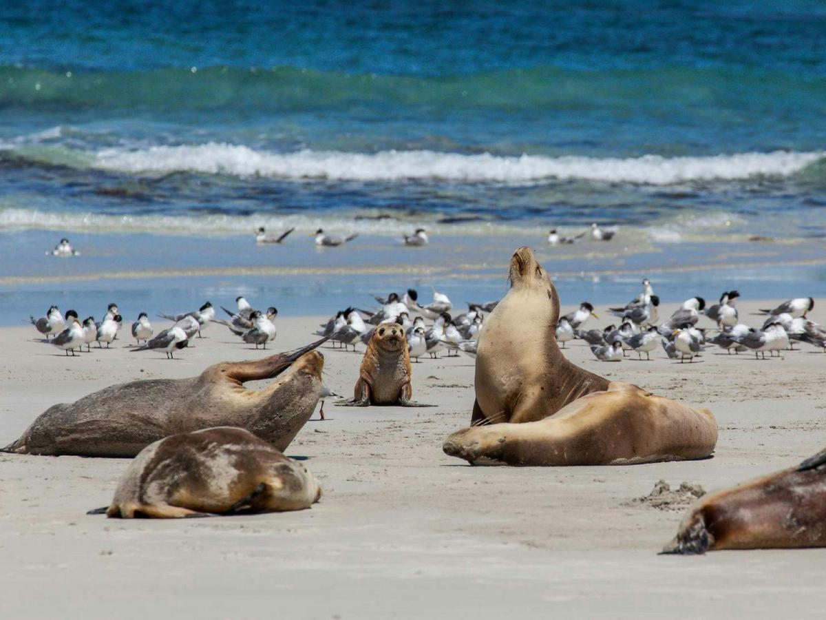 South Australia