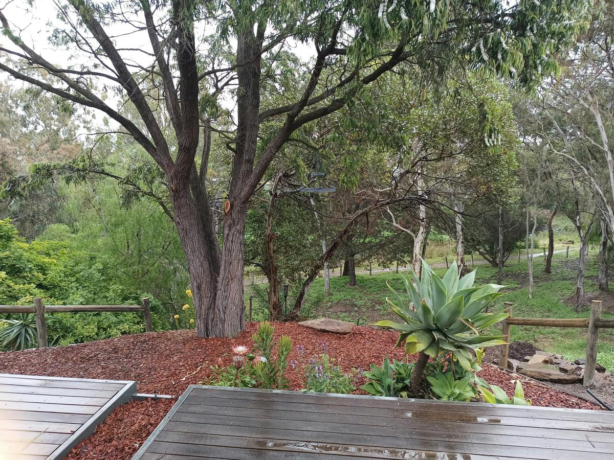 Strathalbyn Cottage Central's deck has an 8 metre elevation over a beautiful native reserve,