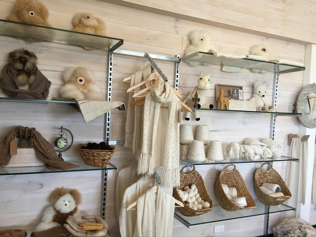 Alpaca Farm 1 Hour Tour