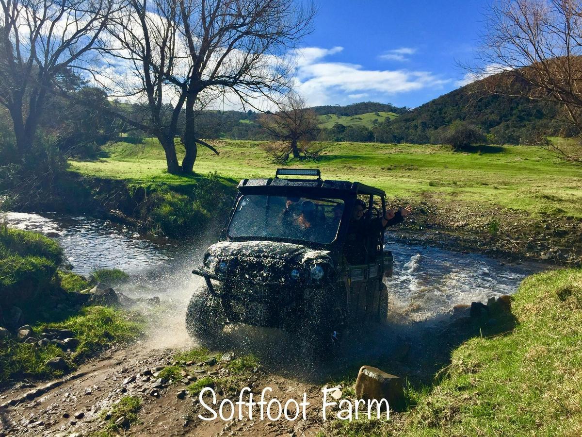 Buggy riding