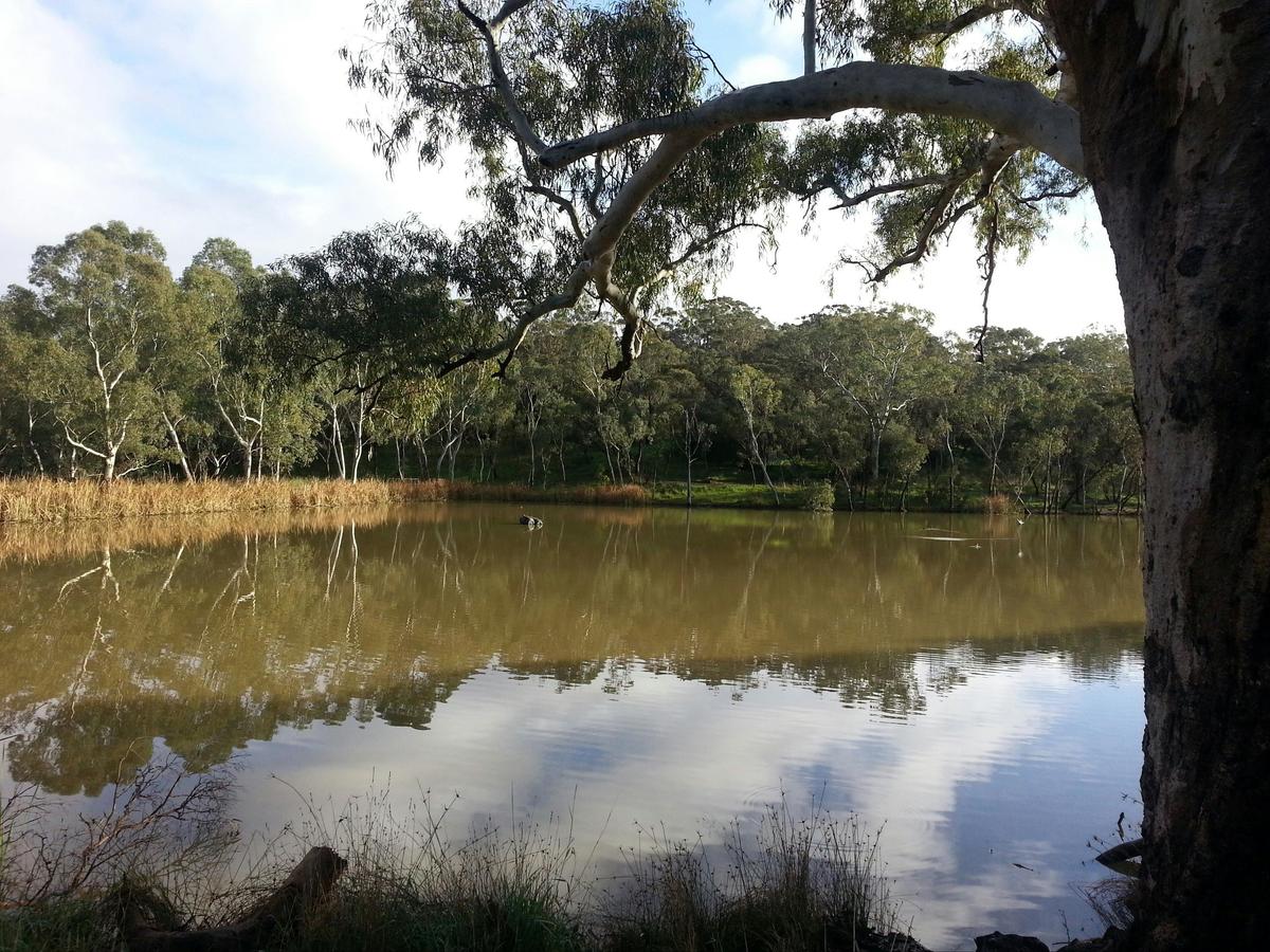 sturt-gorge