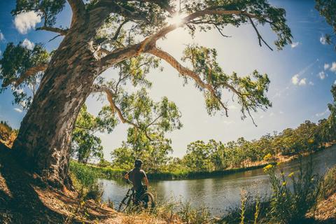 Sturt Gorge Recreation Park