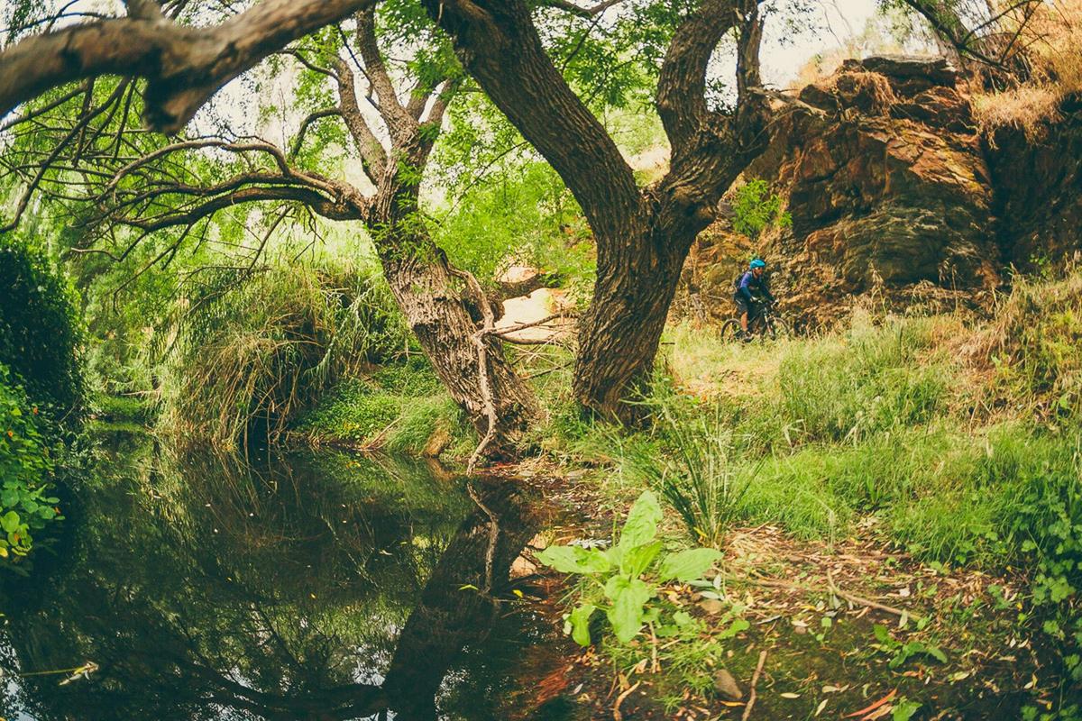 Sturt Gorge