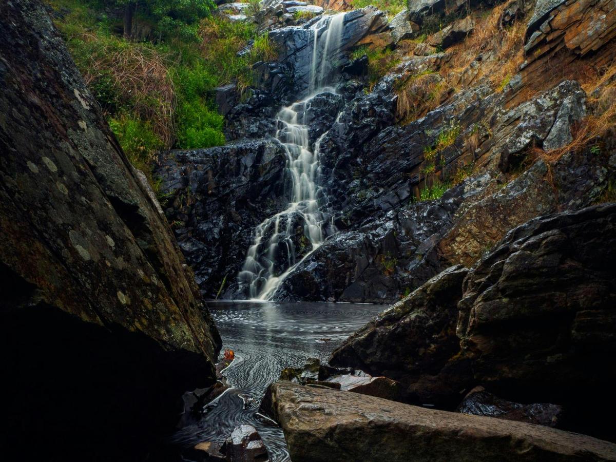 Second Valley Forest