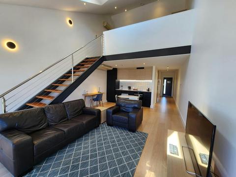 Deluxe 2 Bedroom Loft Apartment