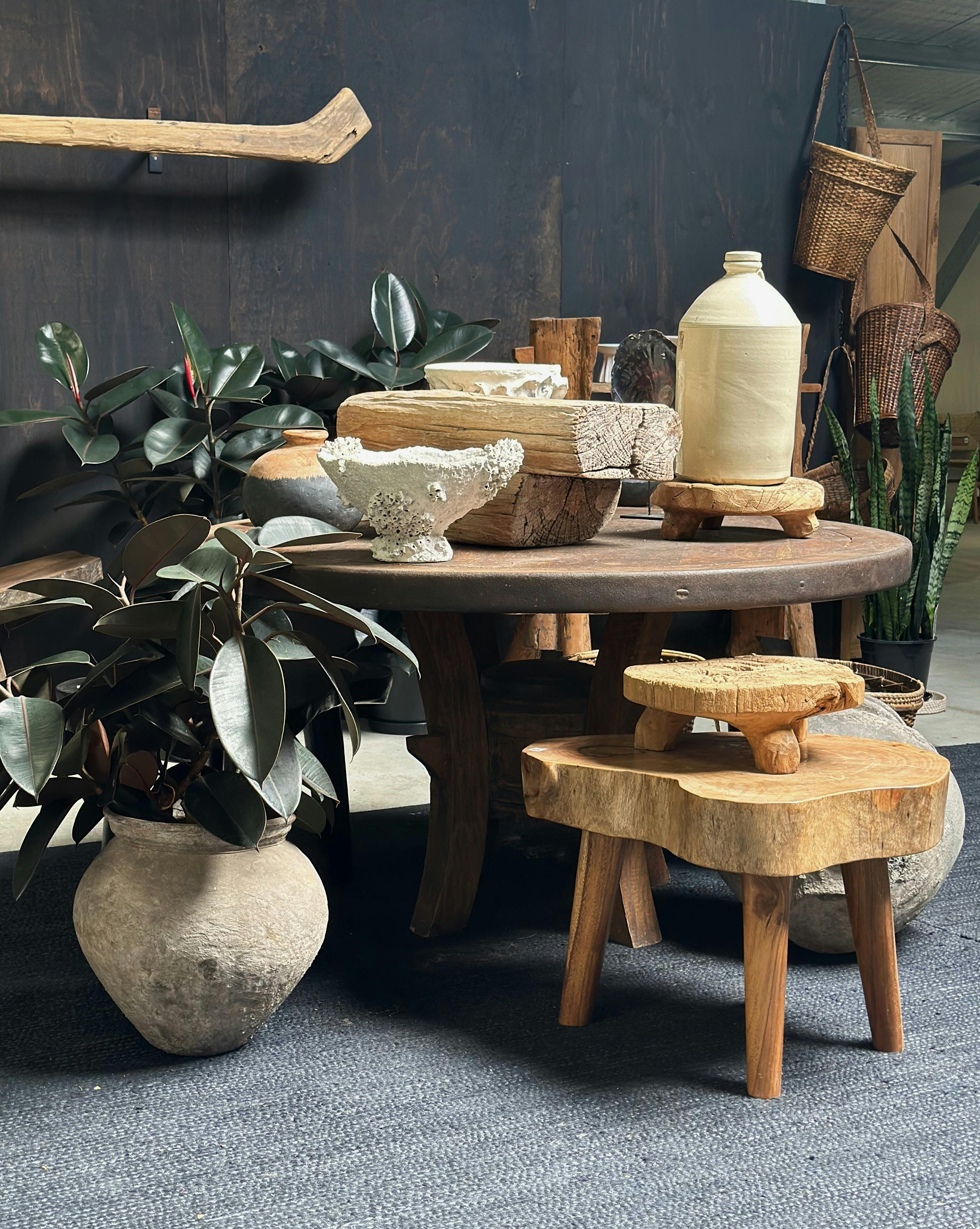 unique homewares and house plants