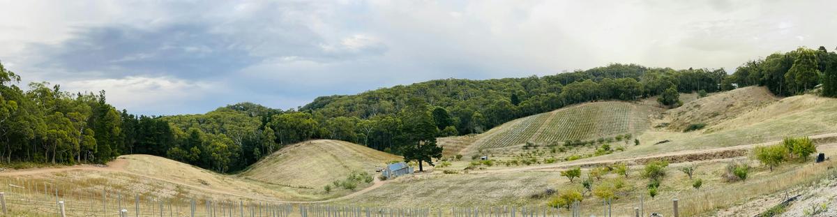 Sit back and relax while looking upon the stringbark forrest