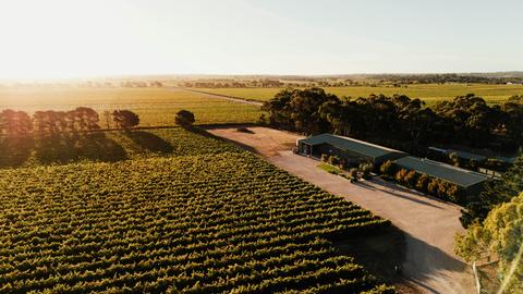 Shirvington Wines
