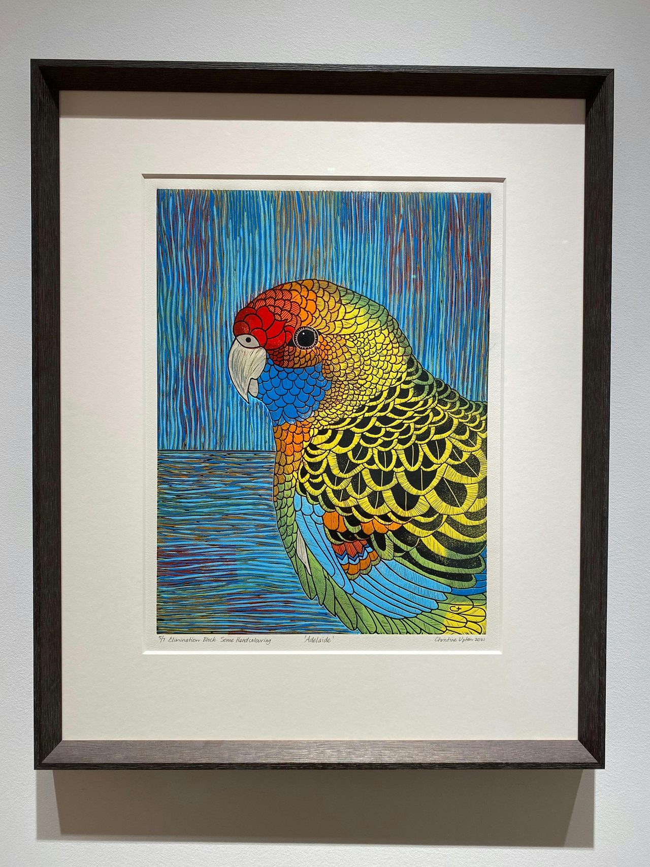 Detail of an Adelaide Rosella
