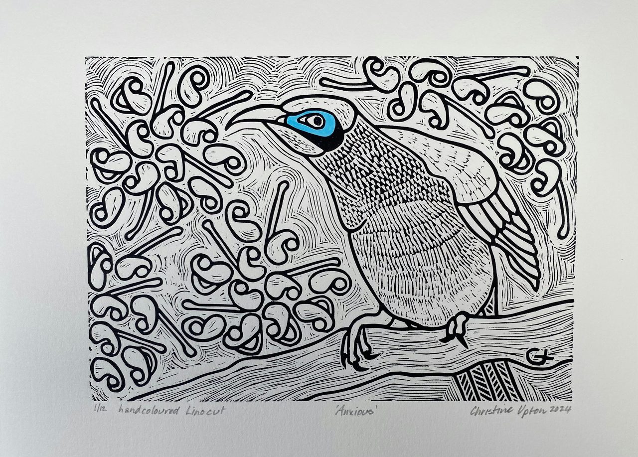 Little Friar Bird