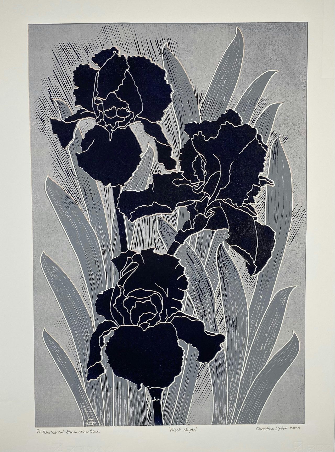 Detail of Black Irises