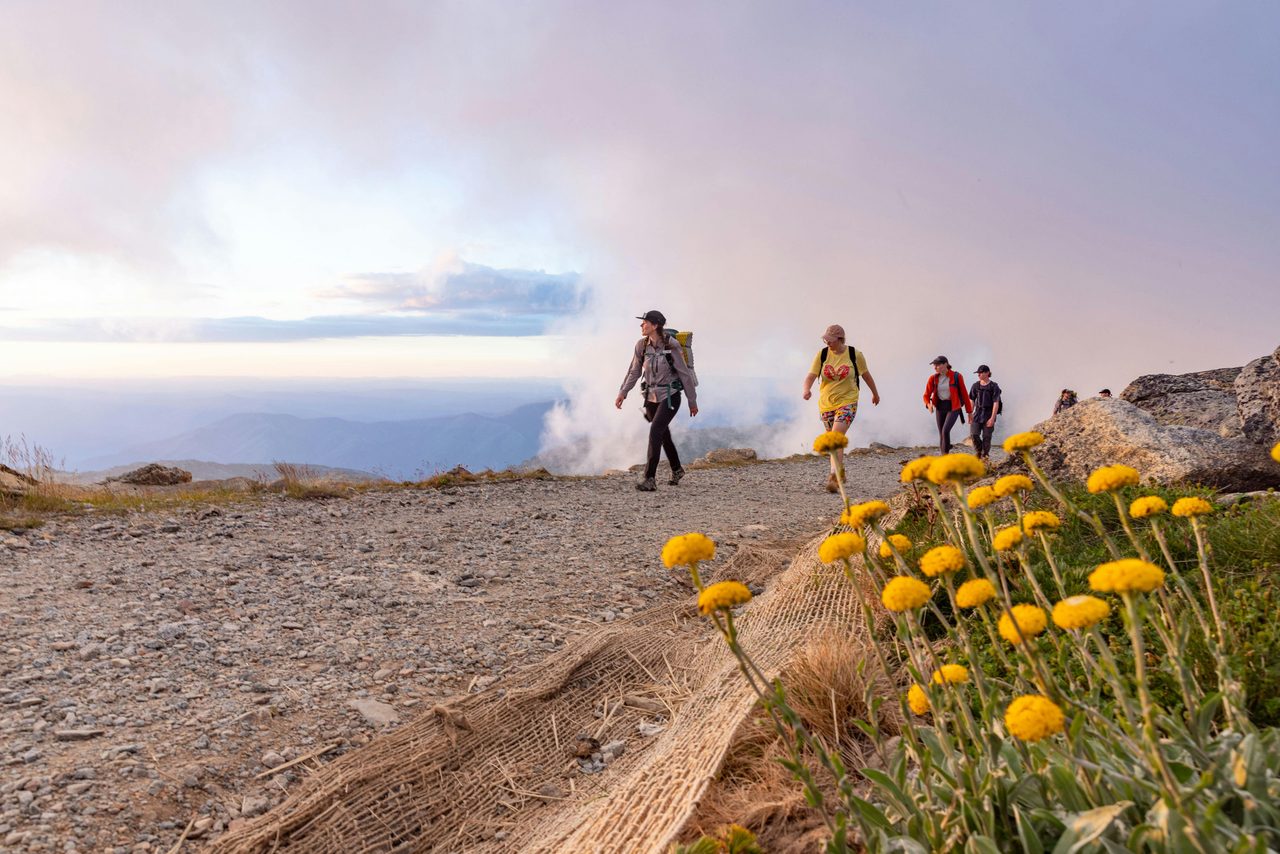 Hikers seeing the sights in peak wild flower season.