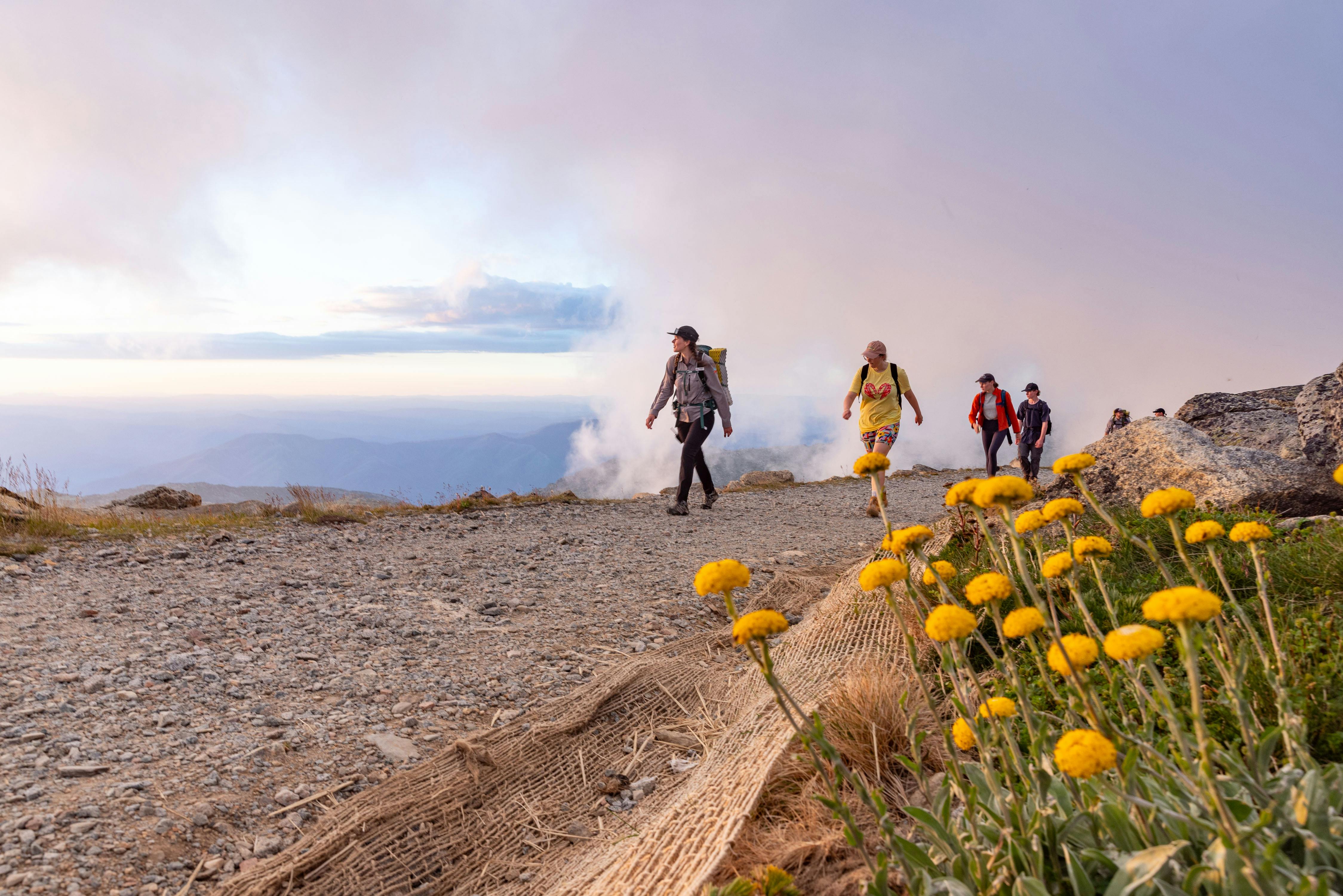 Hikers seeing the sights in peak wild flower season.