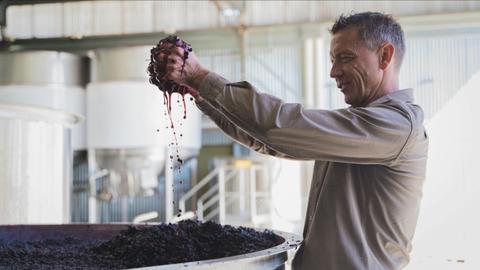 Teusner Wines