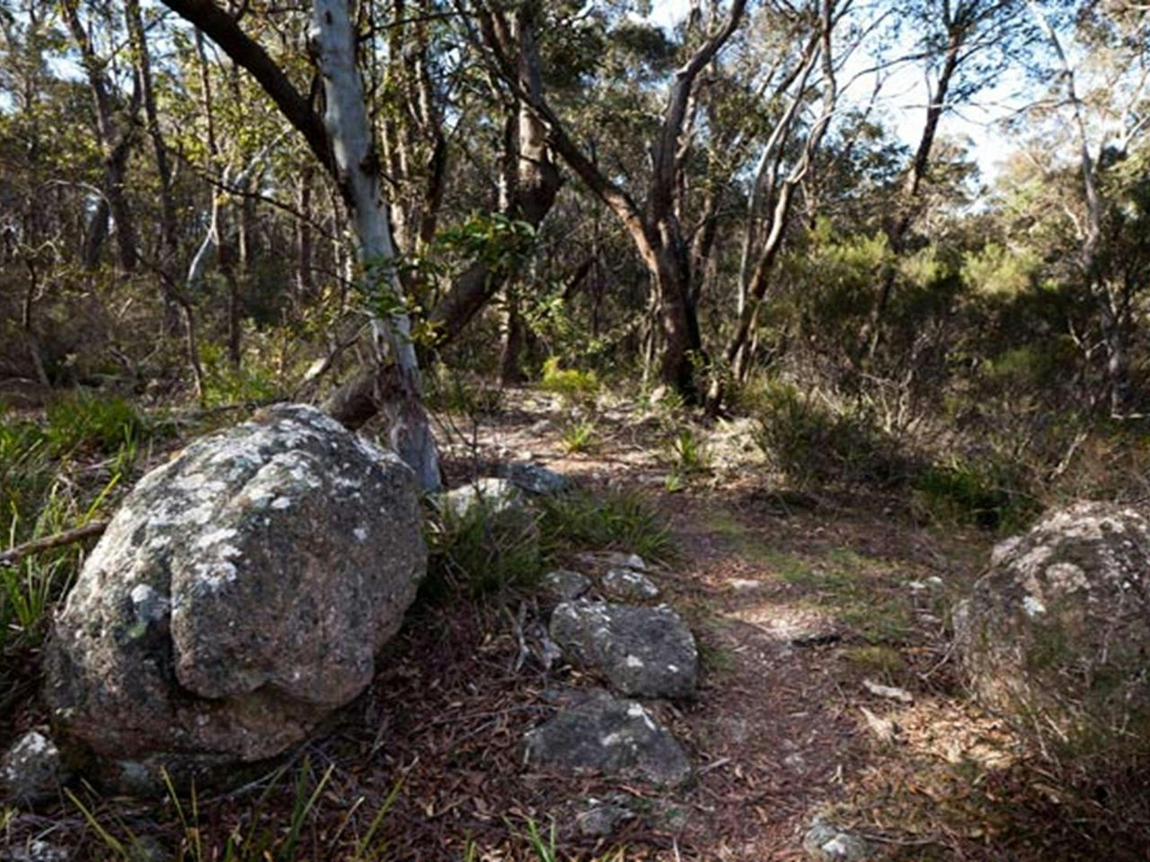 Tuross Falls walking track, Wadbilliga National Park. Photo: Lucas Boyd Photography/NSW Government