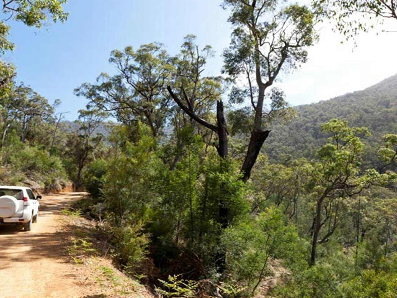 Wadbilliga Road Drive, Wadbilliga National Park. Photo: Lucas Boyd Photography/NSW Government