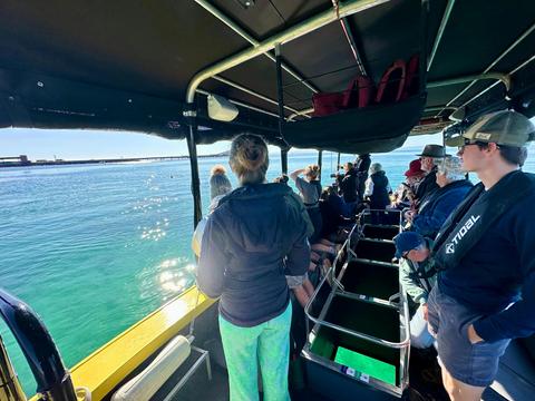 Ultimate Glass Bottom Boat Tour