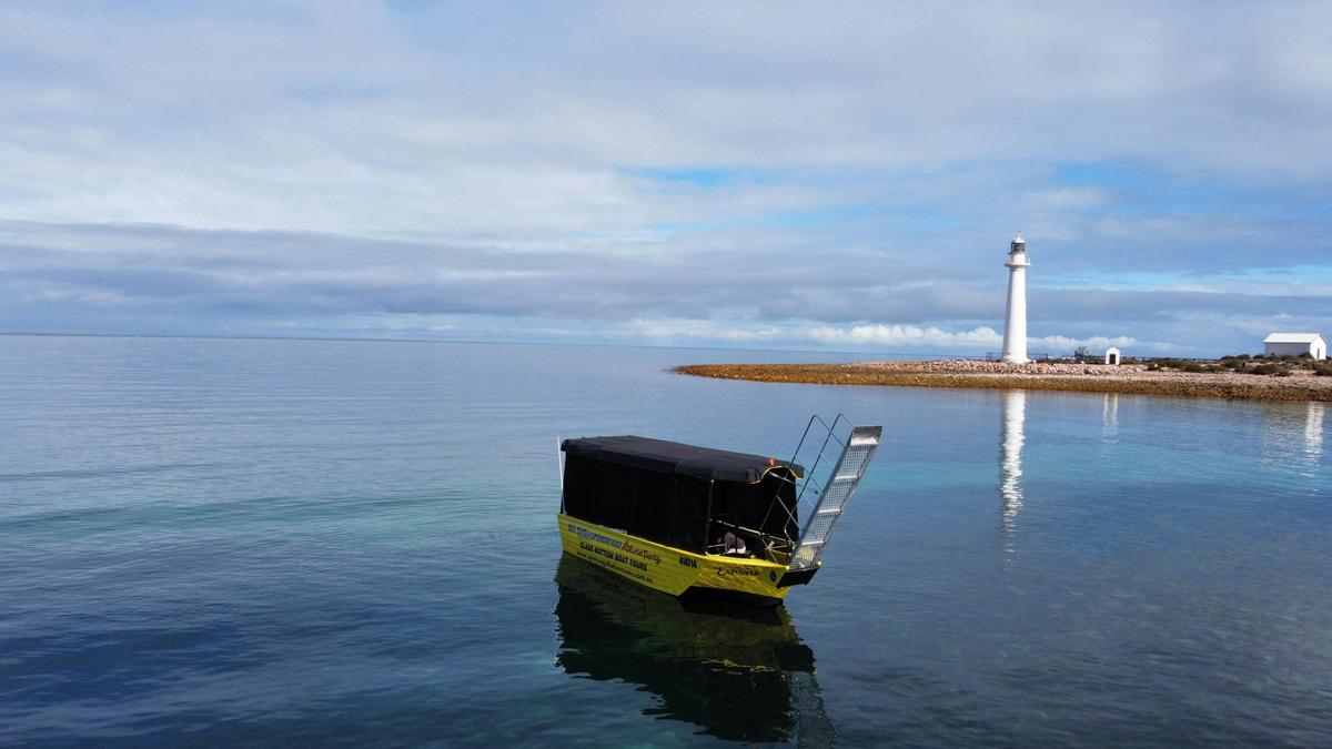 Spencer Gulf Adventures Freedom Explorer