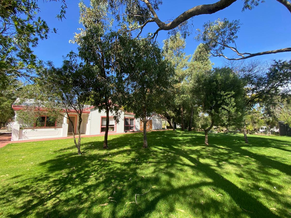 Lawn area at the Cellar Door