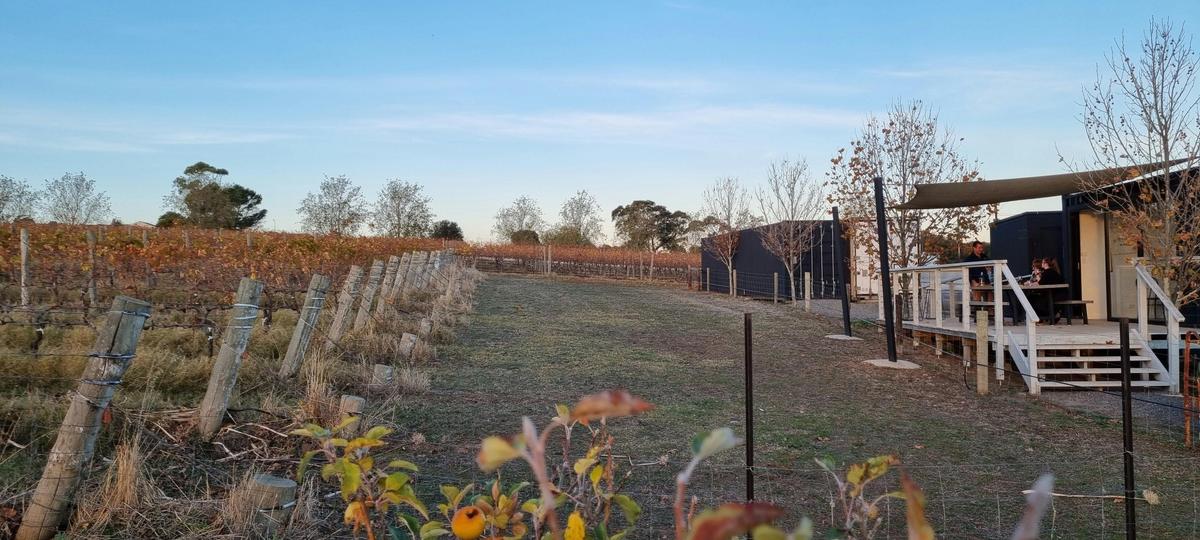 Smidge Wines in autumn