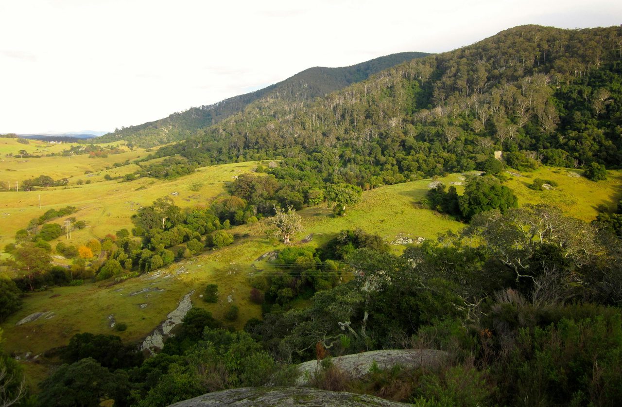 view2