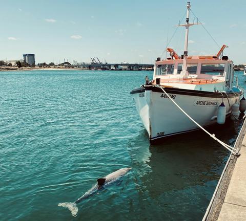 Port River Heritage Tours on the historic vessel MV Archie Badenoch