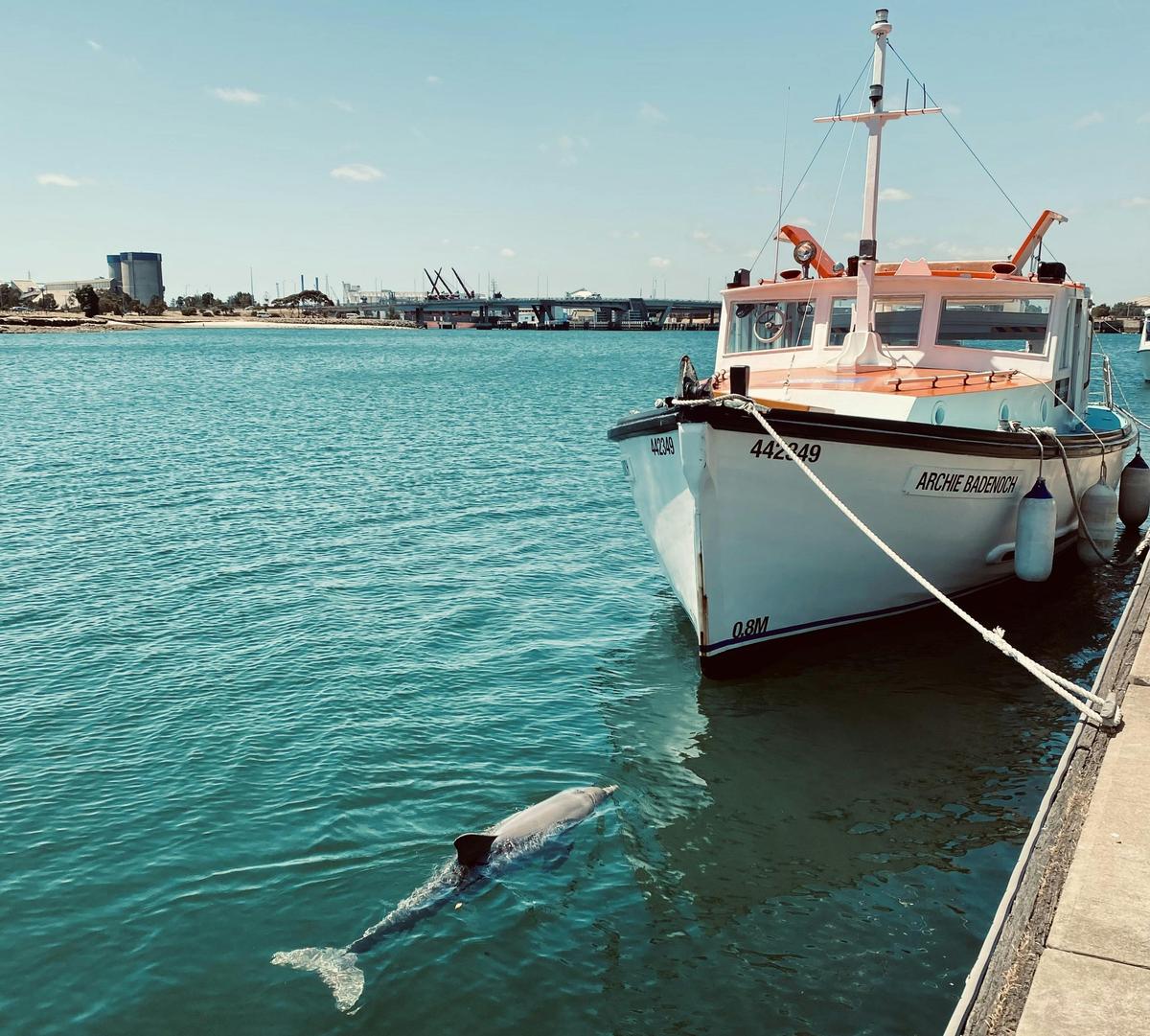 Port River Heritage Tours on the historic vessel MV Archie Badenoch