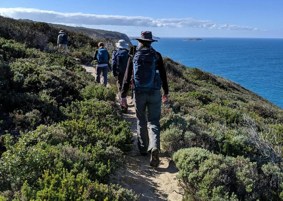 Southern Ocean Walk