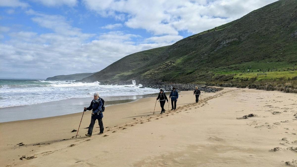 Fleurieu Gourmet Tour
