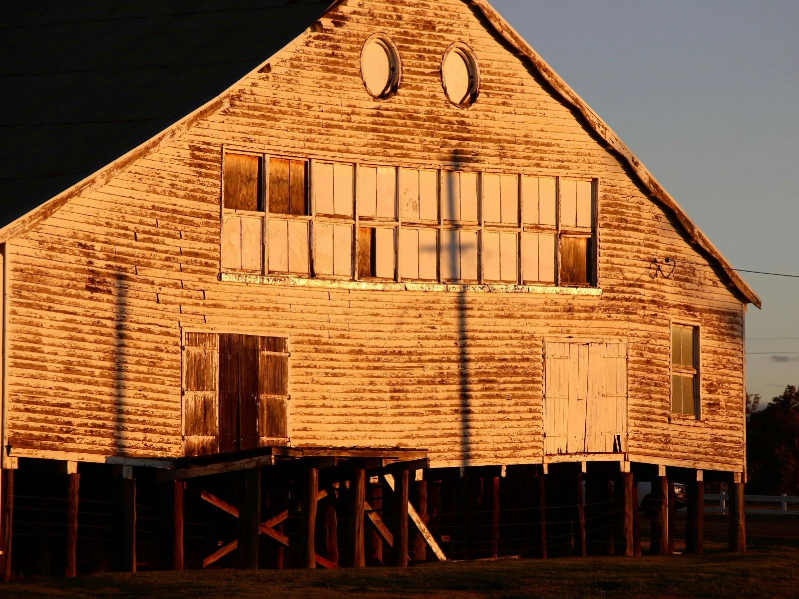 Windy Station Woolshed