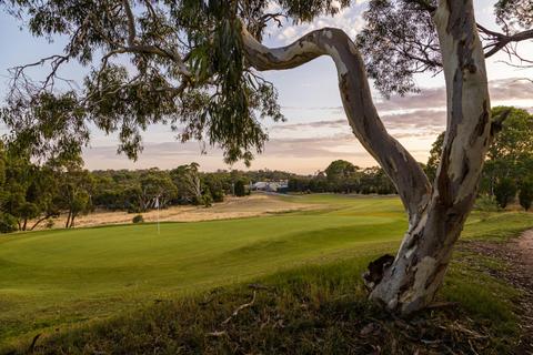Tanunda Pines Golf Club