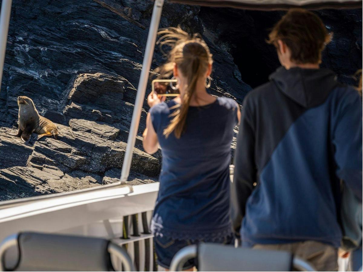 Seal Island Tour