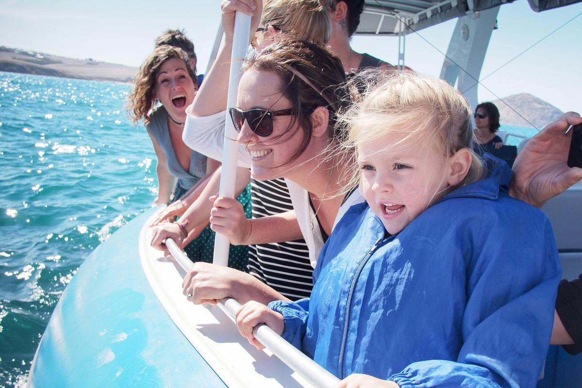 Southern Ocean Adventure