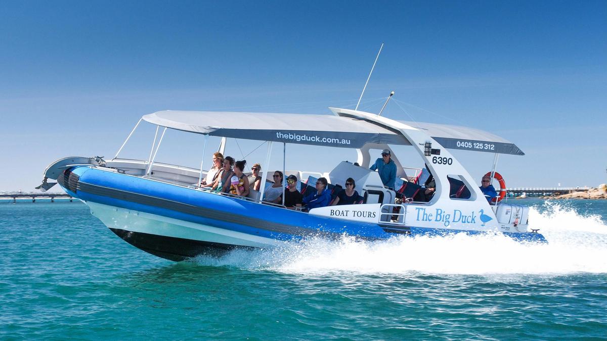 Seal Island Tour