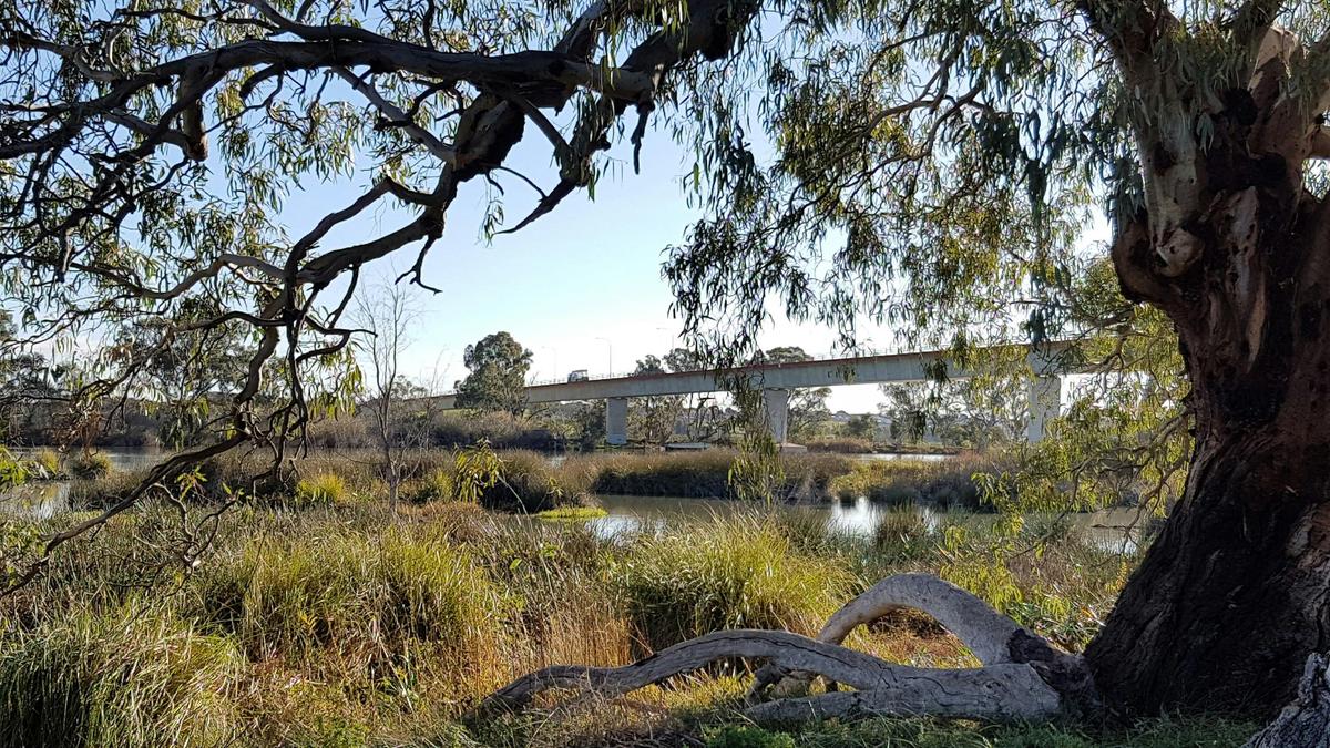 Swanport Wetlands