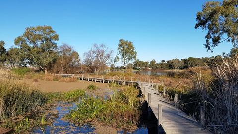 Swanport Wetlands