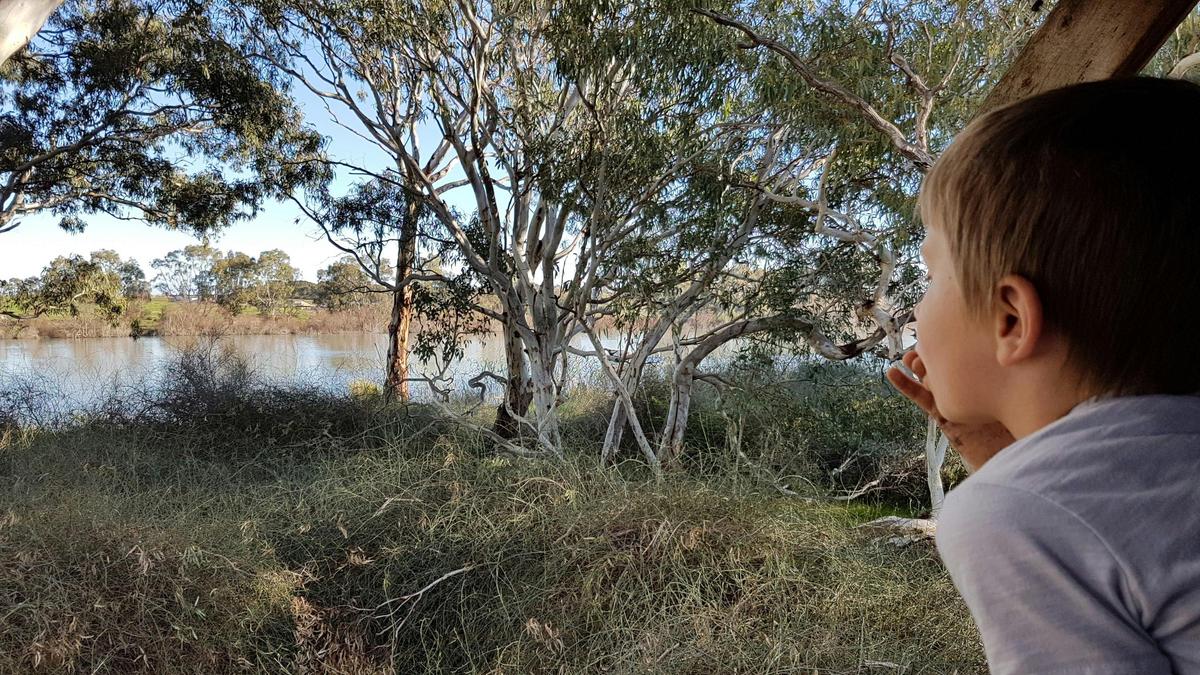 Swanport Wetlands