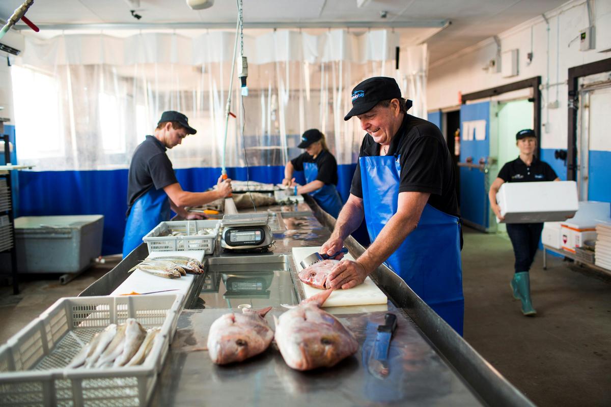 Streaky Bay Marine Products Factory Outlet