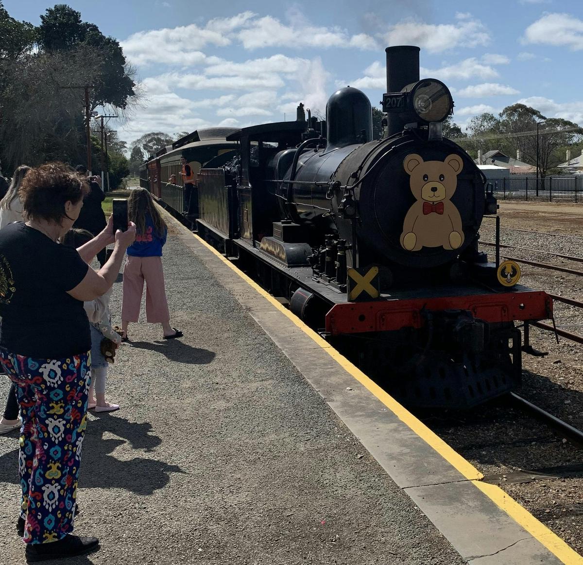 Teddy Bear Picnic Train