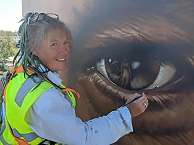 Walgett Water Tower Mural- Jimmy Little